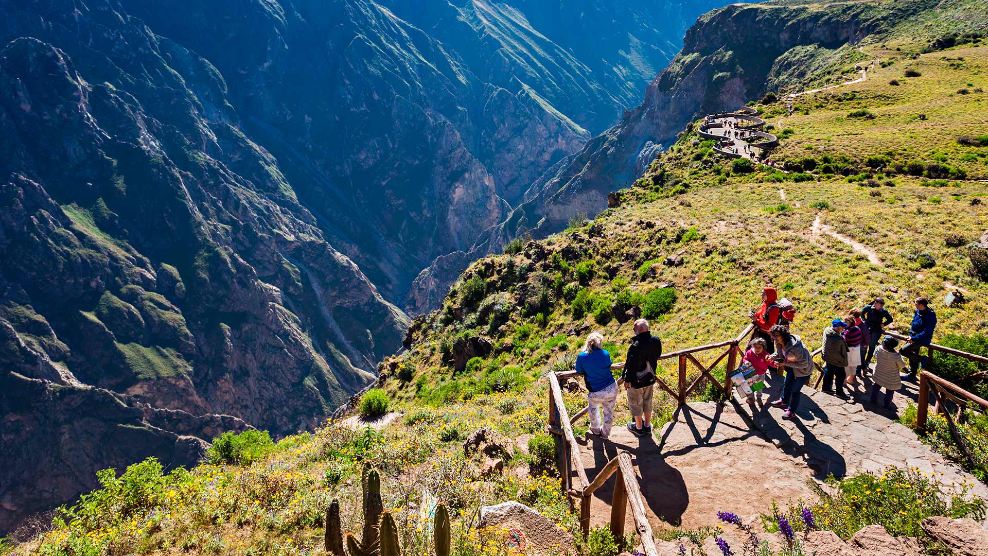 Colca Full Day