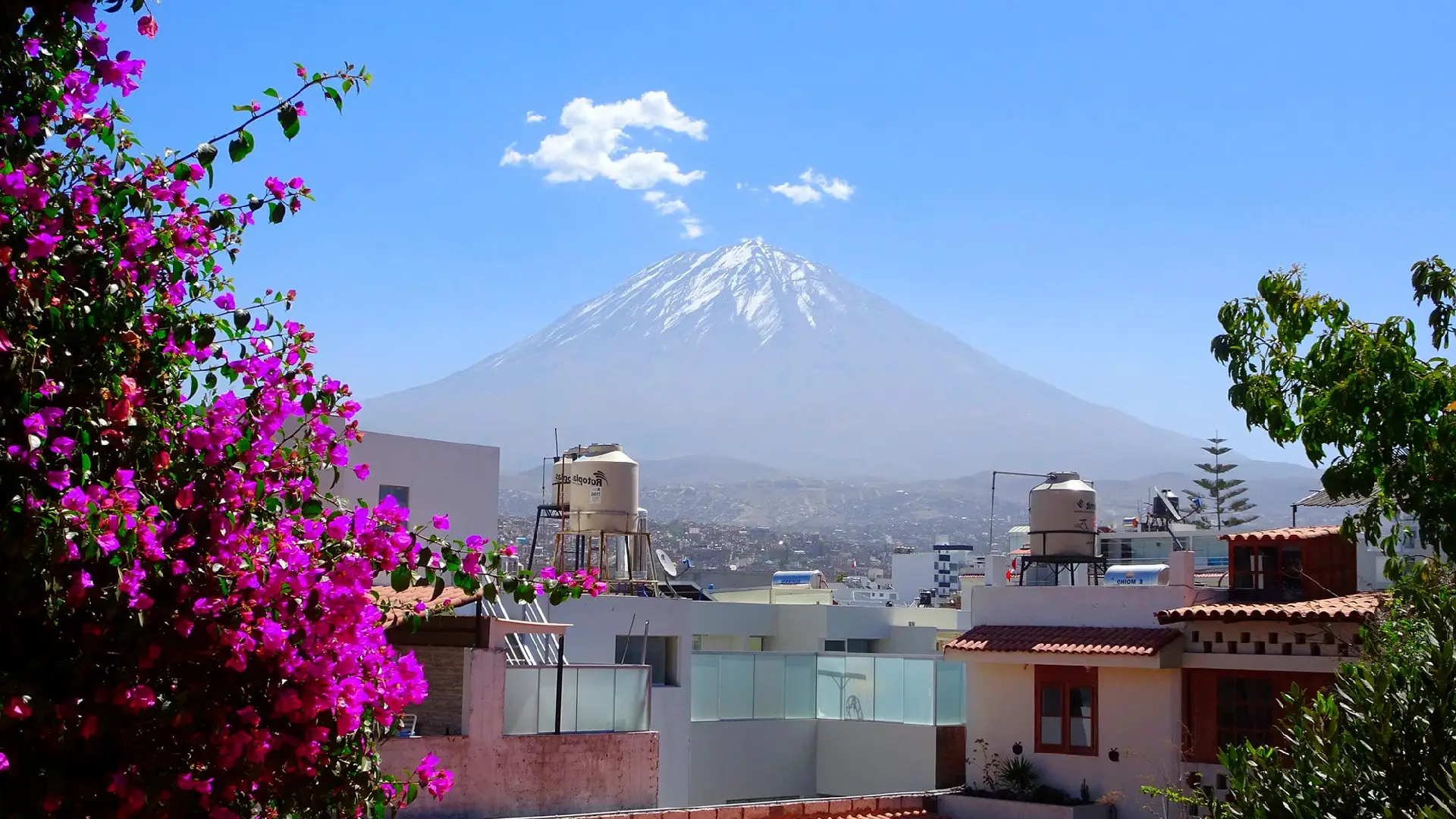 Campiña Tour en Bus Panorámico – Full Loop
