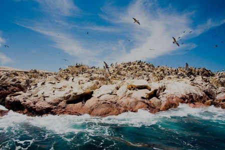 Tour Islas Ballestas